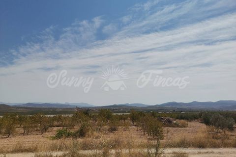 Helårsgrund i Raspay, Murcia, Raspay - € 22.900 | Ref: SF0356 - foto 1
